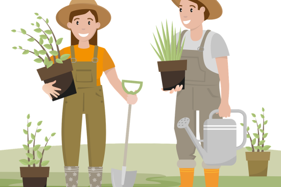 découvrez l'art du jardinage avec notre guide complet ! apprenez à cultiver vos plantes, entretenir votre jardin et créer un espace extérieur épanouissant. que vous soyez débutant ou jardinier expérimenté, trouvez des conseils pratiques et des astuces pour réussir vos projets de jardinage.