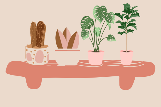 découvrez notre sélection de plantes d'intérieur, idéales pour apporter une touche de verdure à votre espace. améliorez la qualité de l'air et créez une ambiance apaisante grâce à nos conseils de soins et à nos variétés adaptées à tous les intérieurs.