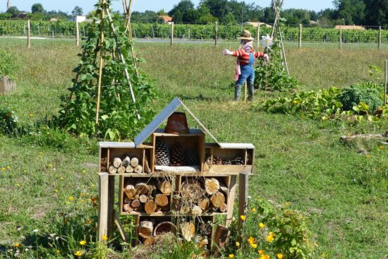 découvrez la permaculture, une méthode durable de culture qui harmonise les écosystèmes naturels pour produire des denrées alimentaires tout en préservant l'environnement. apprenez à concevoir des jardins productifs et résilients grâce à des pratiques respectueuses de la biodiversité.