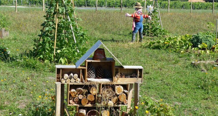 découvrez la permaculture, une méthode durable de culture qui harmonise les écosystèmes naturels pour produire des denrées alimentaires tout en préservant l'environnement. apprenez à concevoir des jardins productifs et résilients grâce à des pratiques respectueuses de la biodiversité.