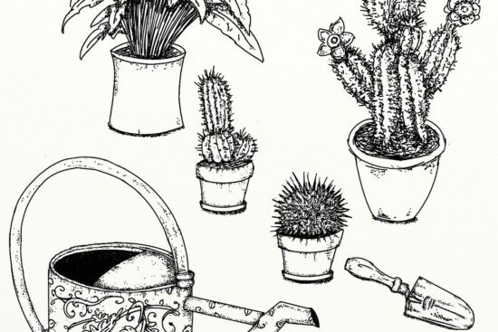 découvrez les secrets du jardinage biologique ! apprenez à cultiver des légumes, fruits et herbes sans produits chimiques tout en préservant l'environnement. rejoignez-nous pour des conseils pratiques, des astuces de jardinage durable et des techniques naturelles pour un potager florissant.