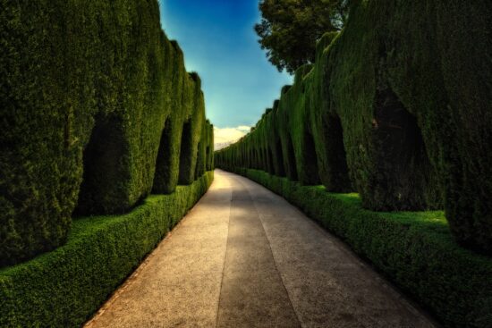 découvrez nos astuces et techniques pour la taille de haies, afin d'obtenir des jardins impeccables et bien entretenus. apprenez à choisir les bons outils et à maîtriser les meilleures pratiques pour embellir votre espace extérieur.