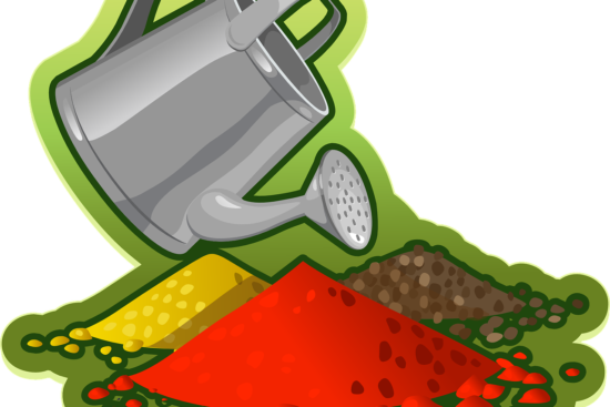 découvrez l'art du jardinage en conteneurs et transformez votre espace extérieur en un oasis verdoyant. idéal pour les petits jardins, ce guide vous aidera à choisir les bonnes plantes, techniques et astuces pour cultiver un magnifique jardin à partir de pots.