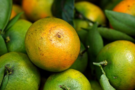 découvrez les techniques de désherbage biologique pour entretenir un jardin sain et respectueux de l'environnement. apprenez à éliminer les mauvaises herbes sans nuire à la biodiversité.