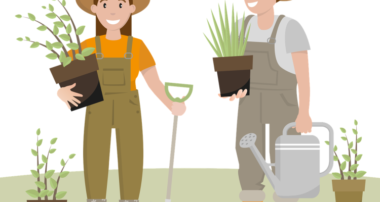 découvrez l'art du jardinage durable : apprenez à cultiver vos plantes tout en respectant l'environnement grâce à des techniques écologiques, des pratiques de conservation de l'eau et l'utilisation de matériaux recyclés.