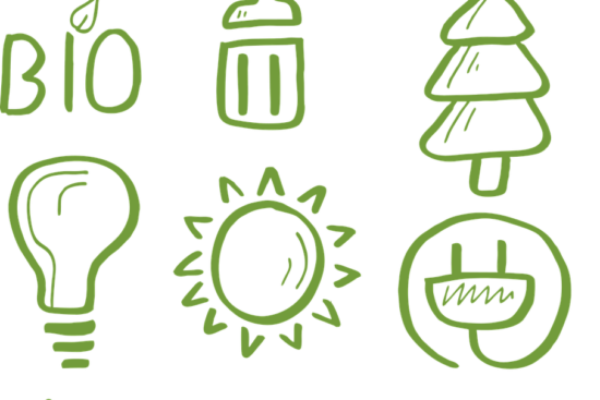 découvrez l'éco-jardinage, une pratique respectueuse de l'environnement qui allie jardinage et durabilité. apprenez à cultiver votre jardin de manière écologique, en utilisant des techniques naturelles pour préserver la biodiversité et réduire votre empreinte carbone.