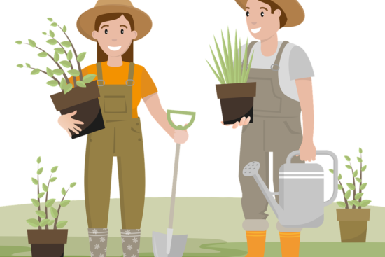 découvrez l'art du jardinage urbain : transformez vos petits espaces en oasis de verdure. apprenez à cultiver fruits, légumes et plantes aromatiques sur vos balcons et terrasses, tout en adoptant des pratiques durables. idéal pour les citadins qui souhaitent allier nature et urbanisme.