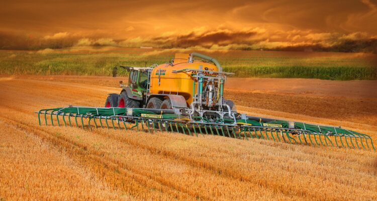 découvrez les engrais naturels, une alternative écologique pour nourrir vos plantes tout en préservant l'environnement. apprenez comment utiliser des solutions organiques pour améliorer la santé de votre sol et favoriser une croissance durable.