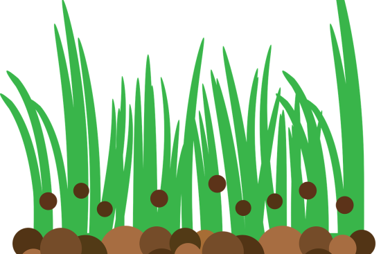 découvrez notre gamme d'engrais pour optimiser la croissance de vos plantes. des solutions adaptées à tous vos besoins de jardinage, que ce soit pour les potagers, les fleurs ou les pelouses. améliorez la santé de vos sols et obtenez des récoltes abondantes avec nos produits de qualité.