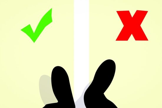 découvrez les erreurs courantes en jardinage à éviter pour réussir vos projets de jardin. apprenez à identifier les pièges et à optimiser vos techniques de cultivation pour un jardin florissant et en pleine santé.