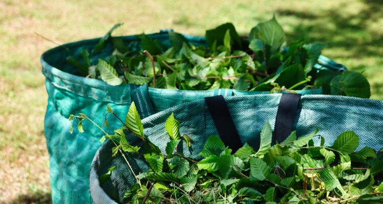 découvrez l'art du compostage, une méthode écologique pour recycler vos déchets organiques tout en enrichissant votre jardin. apprenez à créer votre propre compost et à promouvoir un mode de vie durable.