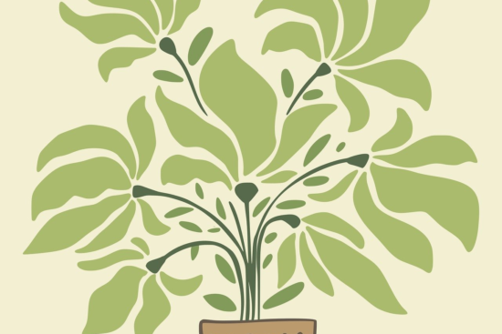 découvrez les bienfaits des plantes en pot pour votre intérieur. apportez une touche de verdure et de fraîcheur à votre espace avec des conseils d'entretien, des idées de décoration et des recommandations de plantes adaptées à votre style de vie.