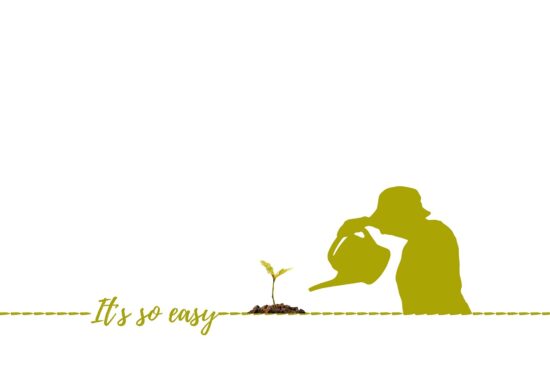 découvrez les principes du jardinage durable pour cultiver des plantes tout en préservant l'environnement. apprenez des techniques respectueuses de la nature, favorisez la biodiversité et réduisez votre empreinte écologique grâce à des pratiques de jardinage responsables.