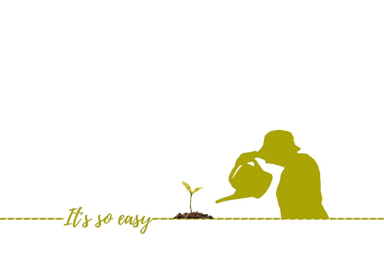 découvrez les principes du jardinage durable pour cultiver des plantes tout en préservant l'environnement. apprenez des techniques respectueuses de la nature, favorisez la biodiversité et réduisez votre empreinte écologique grâce à des pratiques de jardinage responsables.