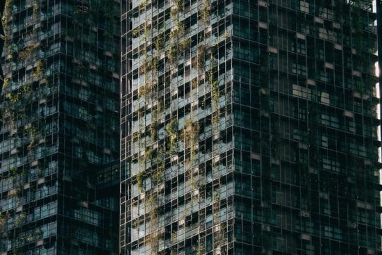 découvrez les principes du jardinage durable pour cultiver votre espace vert de manière respectueuse de l'environnement. apprenez des techniques écologiques, choisissez des plantes adaptées et créez un jardin qui préserve la biodiversité tout en offrant une récolte abondante.