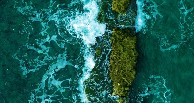 découvrez l'art du jardinage vertical, une solution innovante pour aménager vos espaces extérieurs et intérieurs. transformez vos murs en véritables écrins de verdure, tout en optimisant l'espace et en améliorant la qualité de l'air. inspirez-vous de nos conseils et astuces pour créer votre propre jardin vertical.